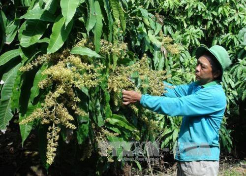 Medium avkt6894728 1